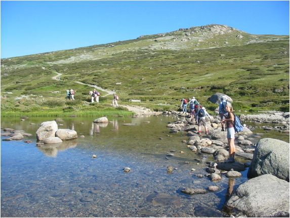 Nous traversons la Murray River, qui est la principale rivire du parc (pas trs profond ici)