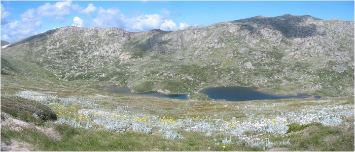 Petits lacs d'eau de glacier